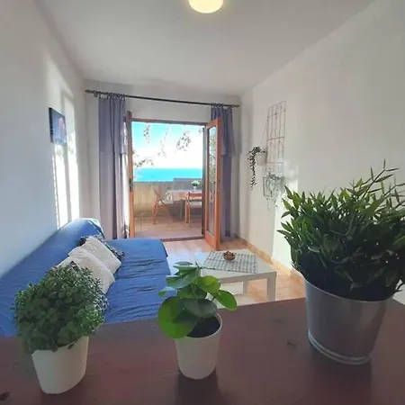 Toni - Lavanda Hvar Town